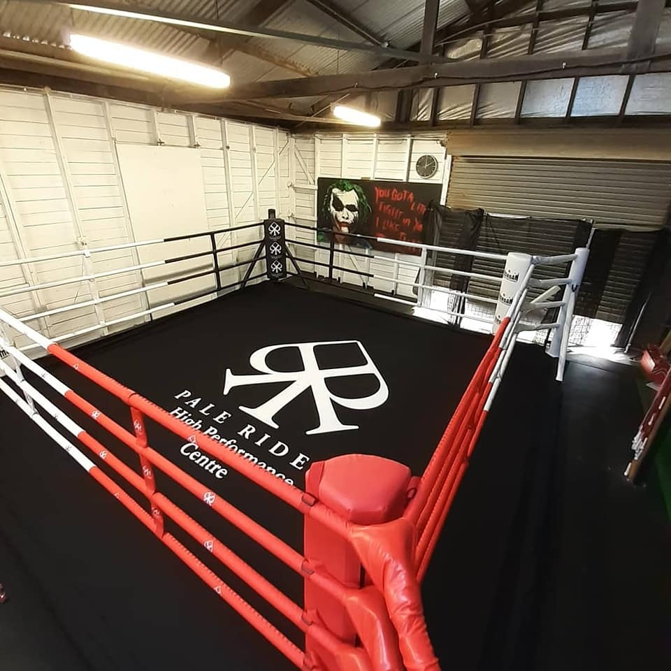 boxing ring for sale