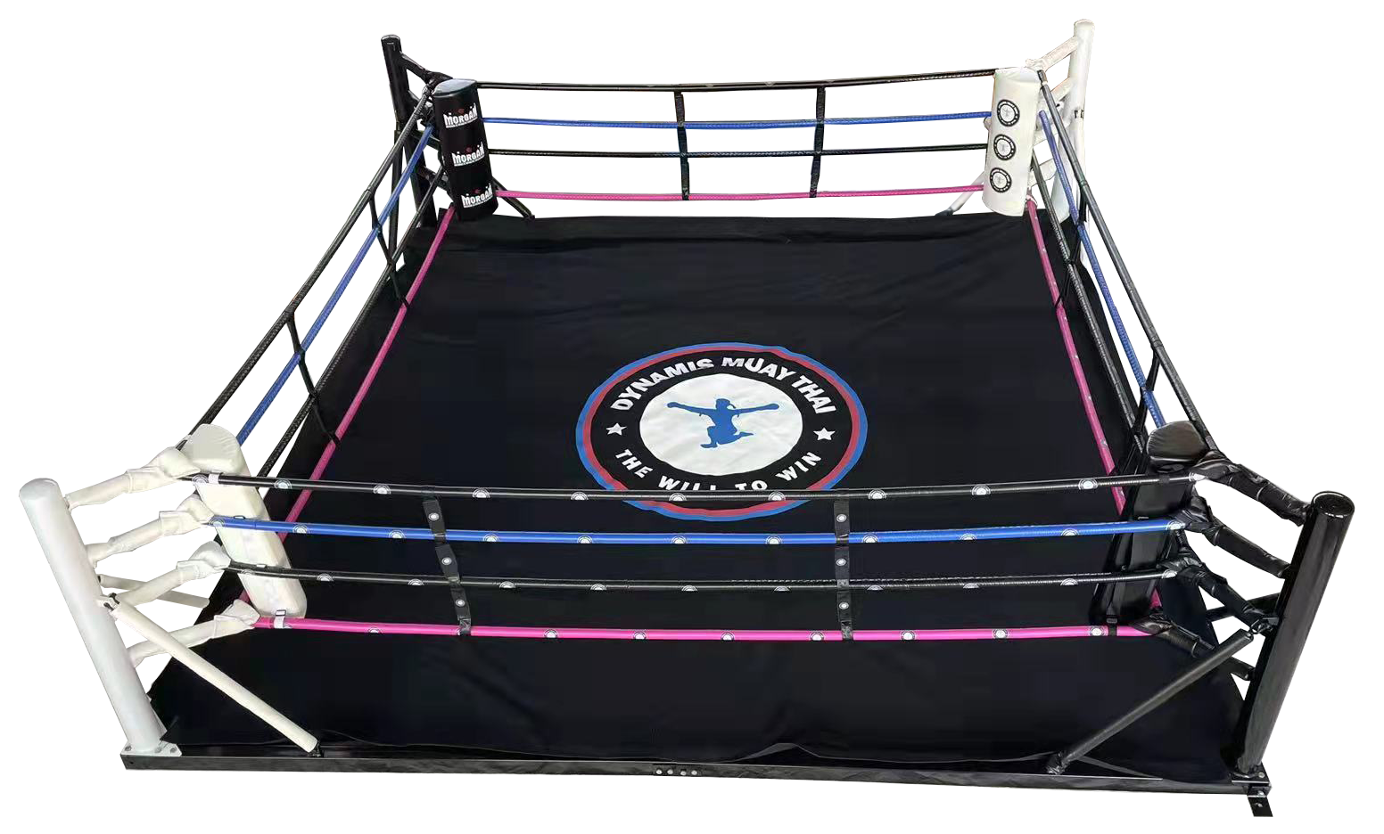 Blue Boxing Ring, Size: 24x24ft at Rs 400000/set in Jalandhar | ID:  2853212804148