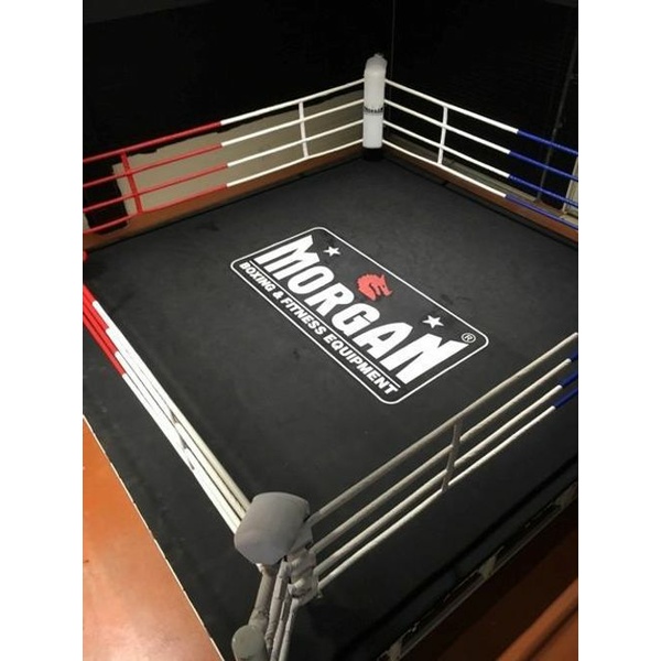 Professional Boxing Ring 22' X 22' Made in USA | Boxing Ring